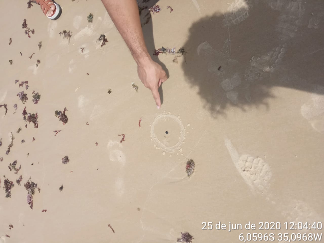 VÍDEO: Manchas de óleo que poluíram praias do Nordeste reaparecem no RN