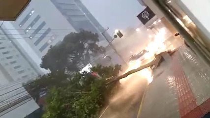 VÍDEO: Ciclone deixa cenário de destruição em Santa Catarina; assista