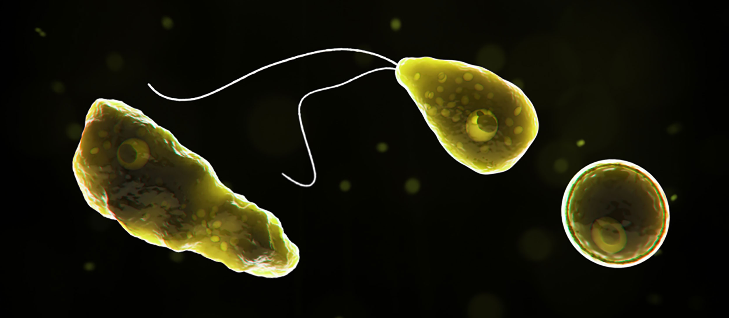 Caso raro de ameba que entra pelo nariz e destrói cérebro é confirmado nos EUA