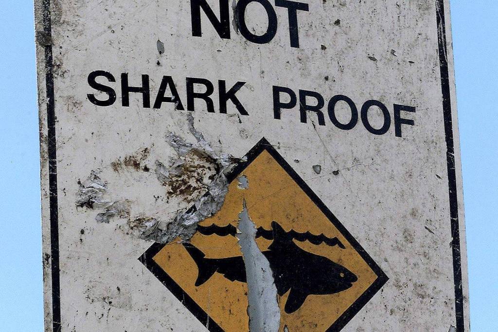 Tubarão puxa garoto de 10 anos de dentro de barco em ataque na Austrália