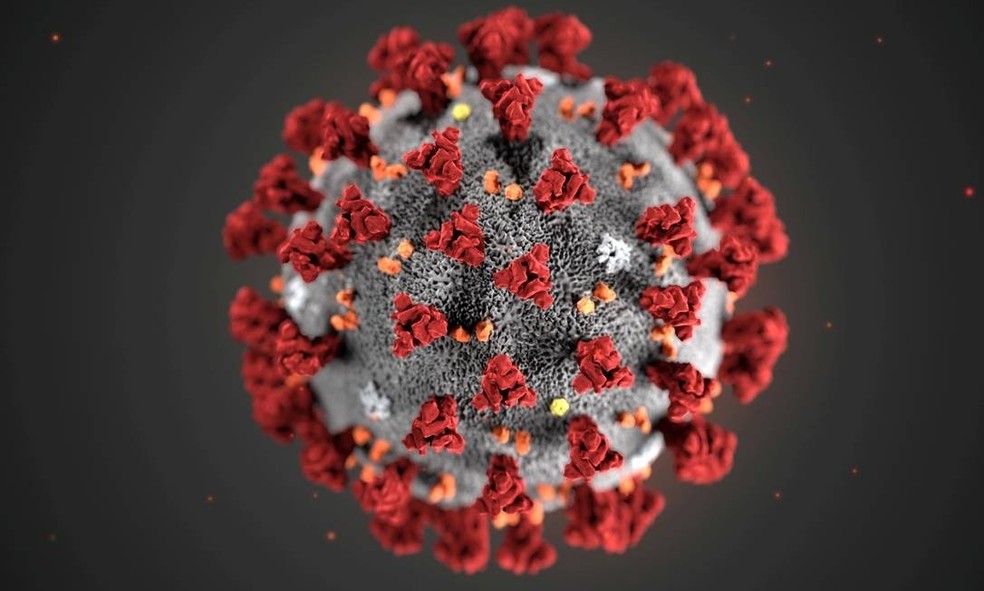 (VÍDEO) Médico revela quando e qual o prazo ideal para utilizar a Ivermectina