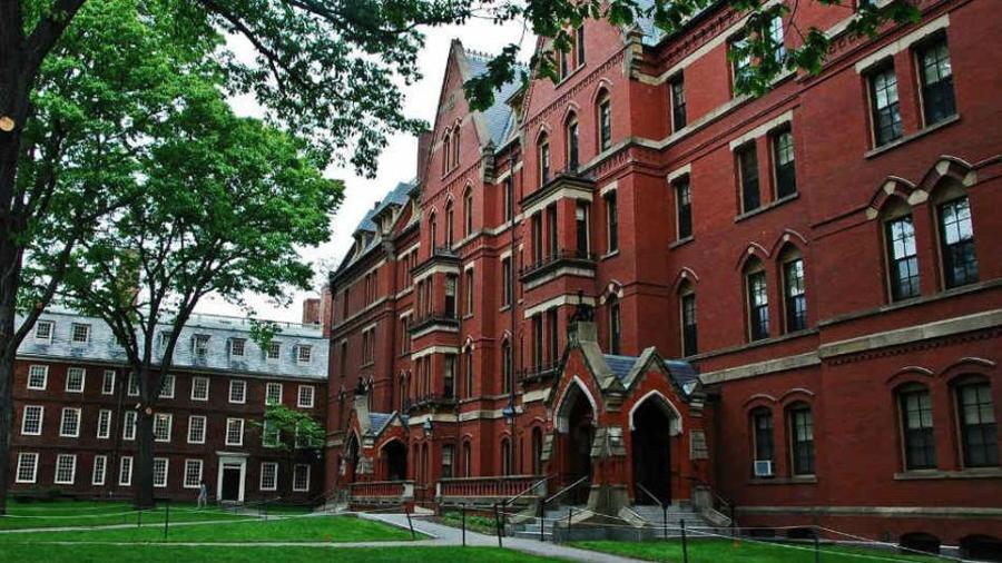 Curso mais popular de Harvard está disponível de graça e em português