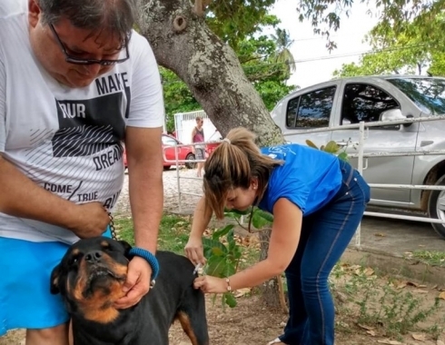 Natal inicia nova etapa da campanha de vacinação antirrábica