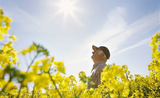 Vitamina D: dermatologista orienta como adquirir a substância da melhor forma