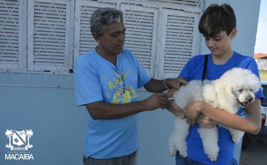 Campanha de vacinação antirrábica começa em Macaíba
