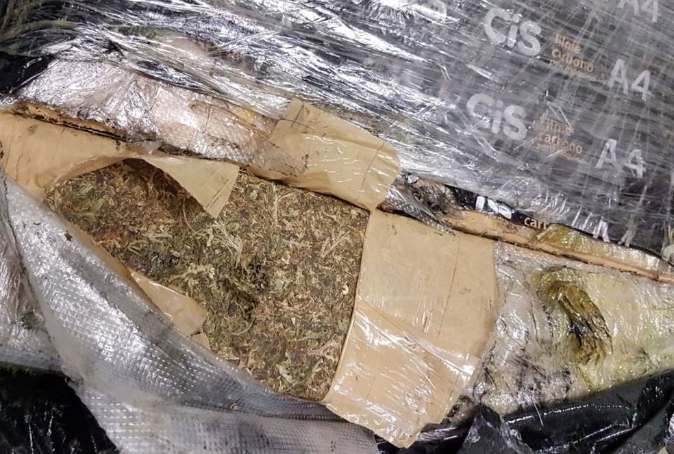 PF prende homem com quase 16 kg de maconha no Aeroporto de Natal