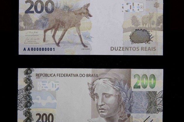 Nota de R$ 200 tem flores e frutos da lobeira, que compõem dieta do lobo-guará