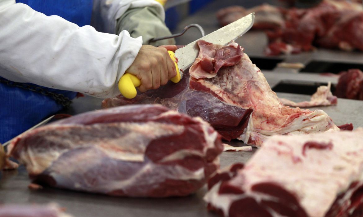 Exportação de carne do Brasil aumenta 12% no ano até agosto