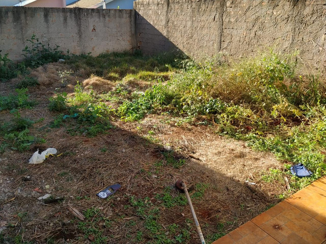 Prefeitura vai multar em R$ 5 mil quem não identificar terreno baldio