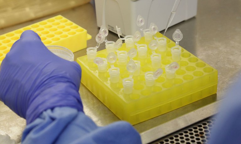 Testagem para covid-19 será ampliada para mais categorias profissionais no RN
