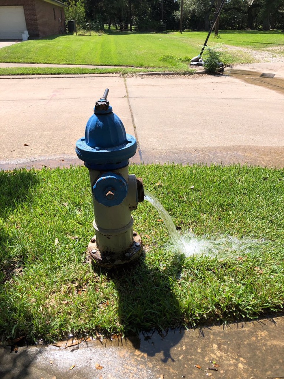 Texas: Autoridades alertam sobre ameba 'comedora de cérebros' nas torneiras