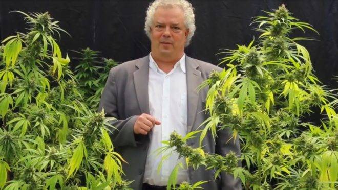 MPE notifica candidato do PSOL por apologia ao uso de maconha