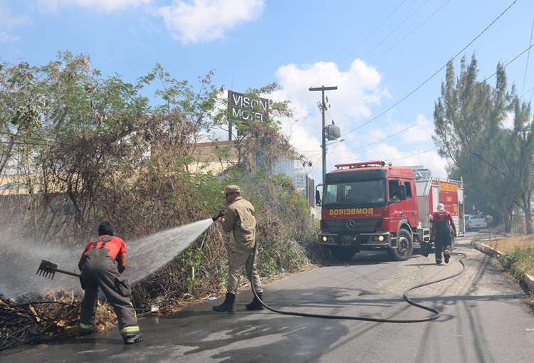 RN teve 14 ocorrências de incêndios florestais atendidas pelos Bombeiros em 24h