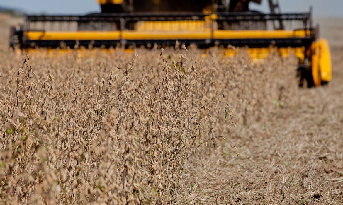 Ipea melhora projeção do PIB do agronegócio