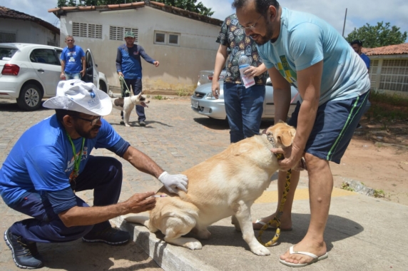 Dia D de Vacinação Antirrábica em Natal será neste sábado