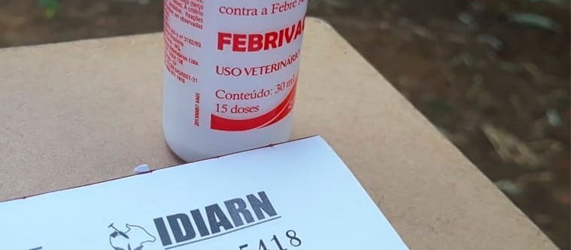 IDIARN lança segunda etapa da campanha de imunização contra febre aftosa