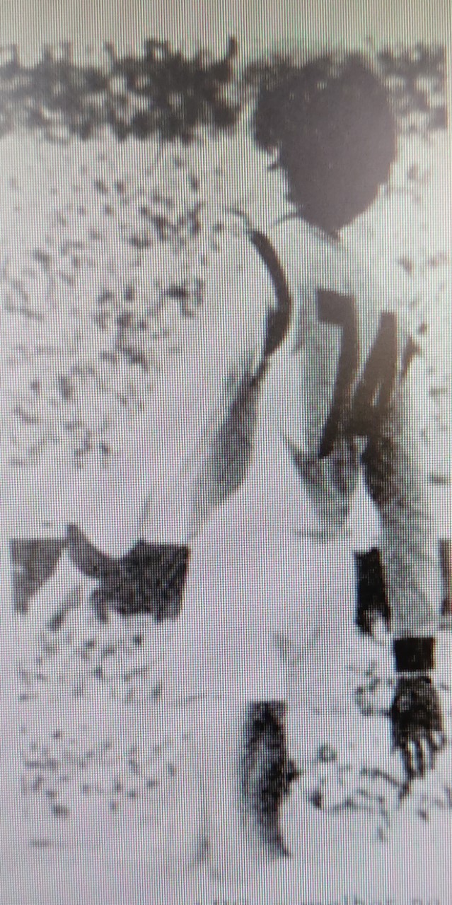 Renato 74