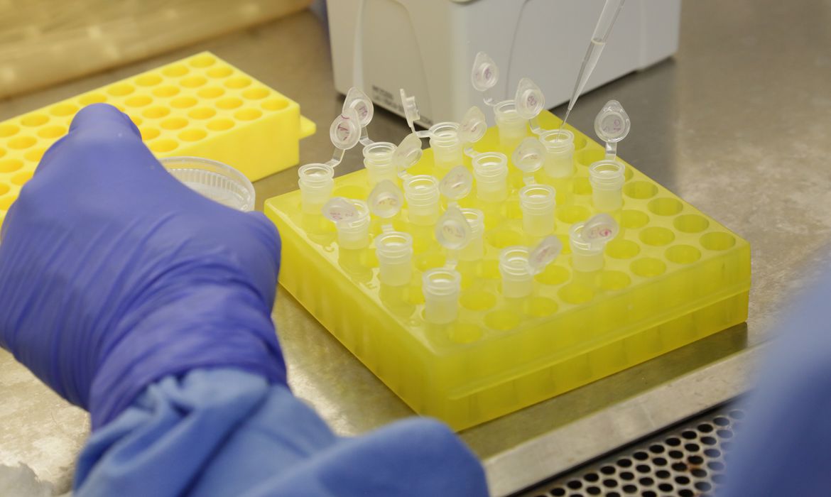 Covid-19: vacina própria da Fiocruz pode chegar a testes clínicos em 2021