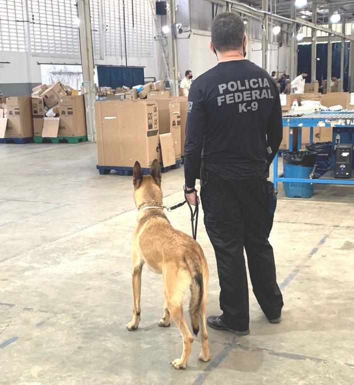 PF acha mais de 5 kg de cocaína em encomenda enviada para Natal pelos Correios
