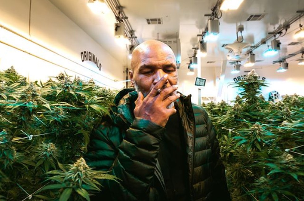 Mike Tyson amplia fortuna vendendo maconha e quer construir paraíso da erva