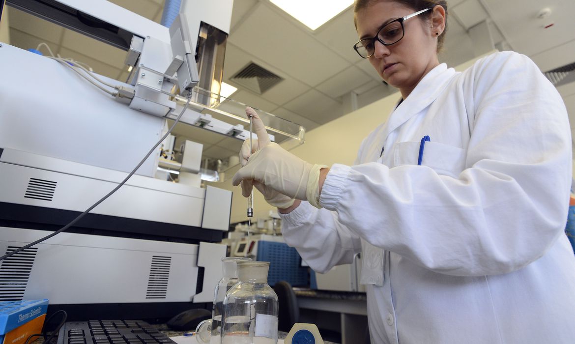 Fungo que ameaça saúde global é detectado no Nordeste; Anvisa emite alerta