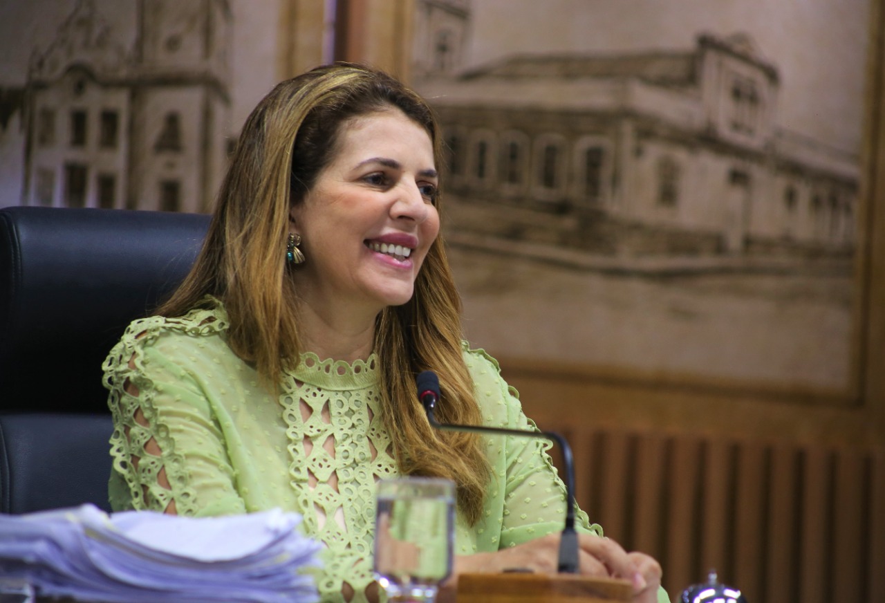 Vereadora Nina: “Terminamos legislatura com certeza do dever cumprido”