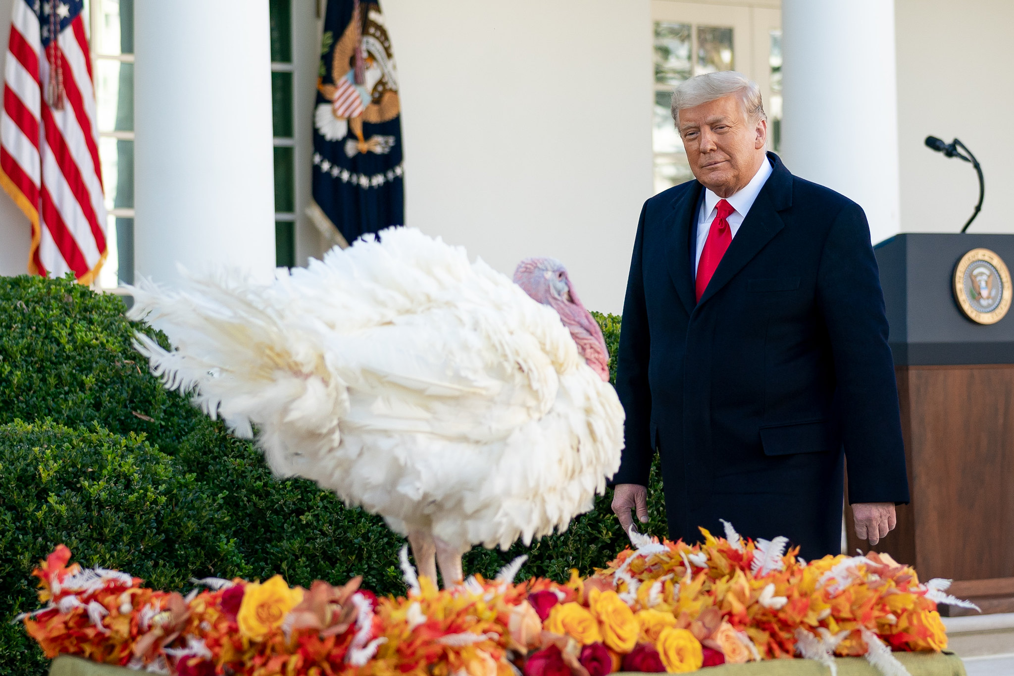 Democratas planejam ação rápida por impeachment de Trump se emenda falhar