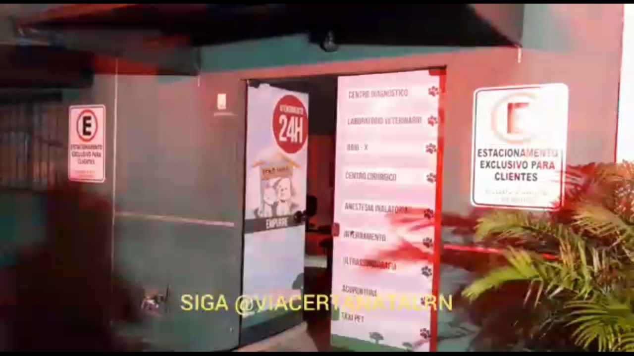 Incêndio atinge hospital veterinário em Natal; morador resgata cachorro