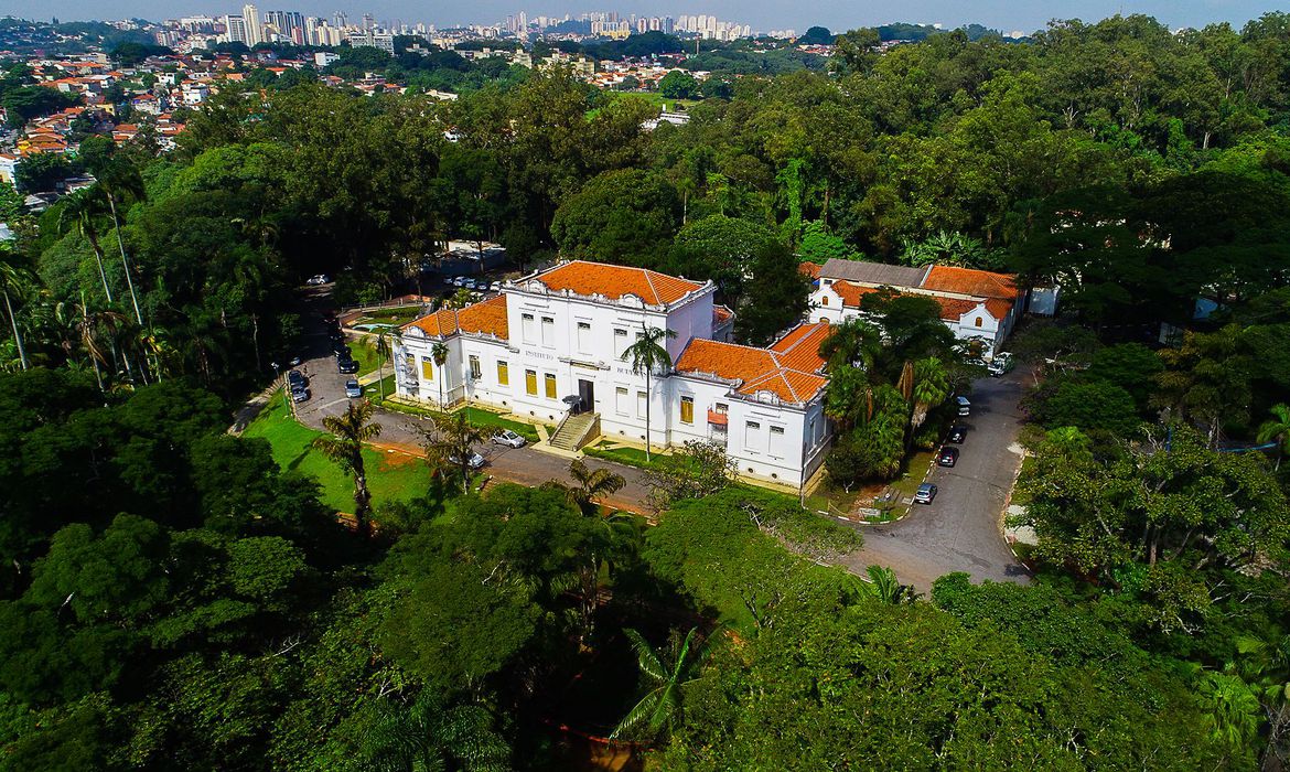 Instituto Butantan testa soro para tratamento da covid-19