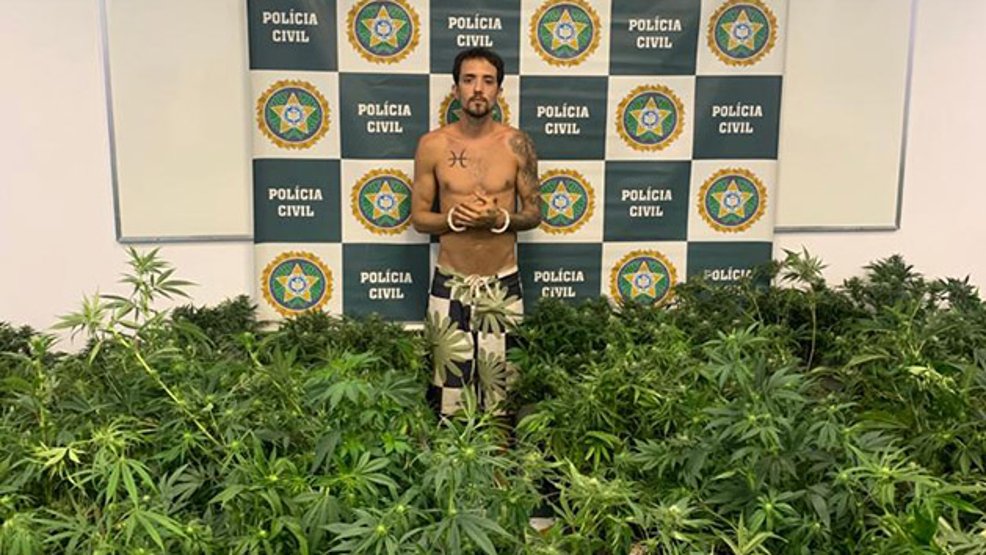 Estudante de direito é preso com 3 mil pés de maconha