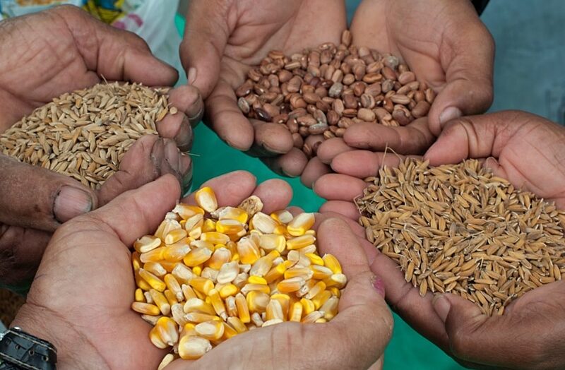 Governo inicia distribuição de sementes e inaugura obras no interior do RN