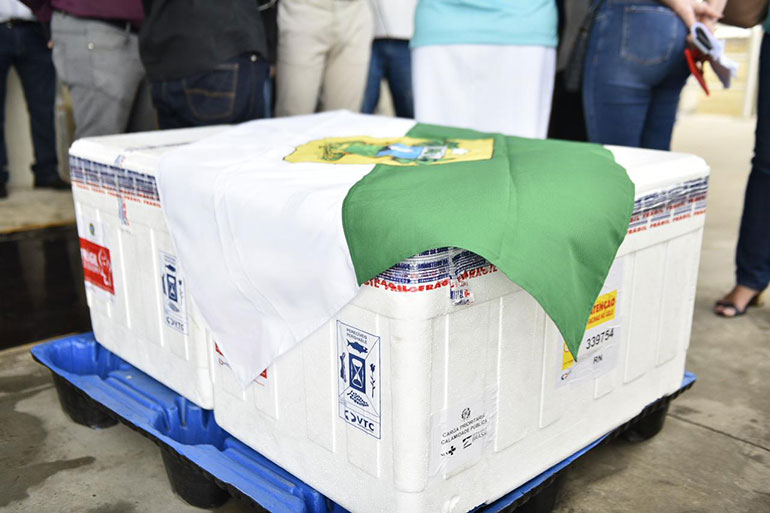 Após autorização do STF, governo comprará vacinas extras para o RN