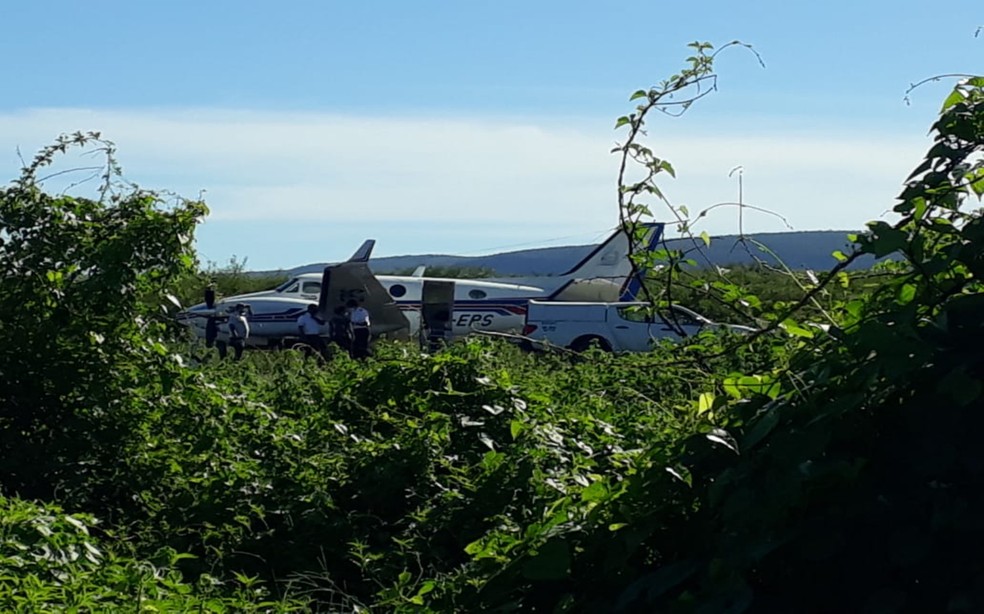 Avião com doses de vacina da covid bate em jumento em pista de aeródromo