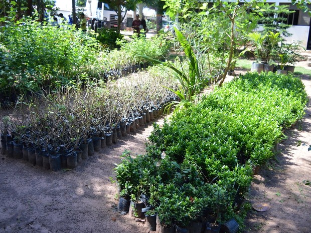 Prefeitura de Natal investe em melhorias do Horto Municipal
