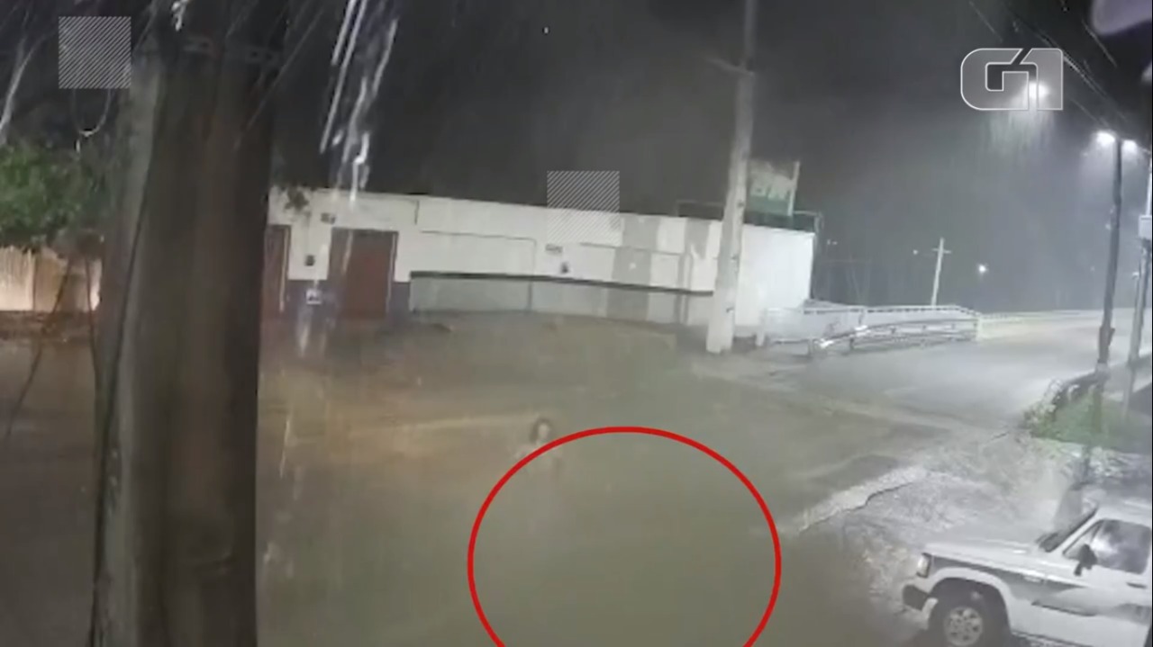 VÍDEO: Mistério de mulher que some em dia chuvoso chega ao fim; entenda