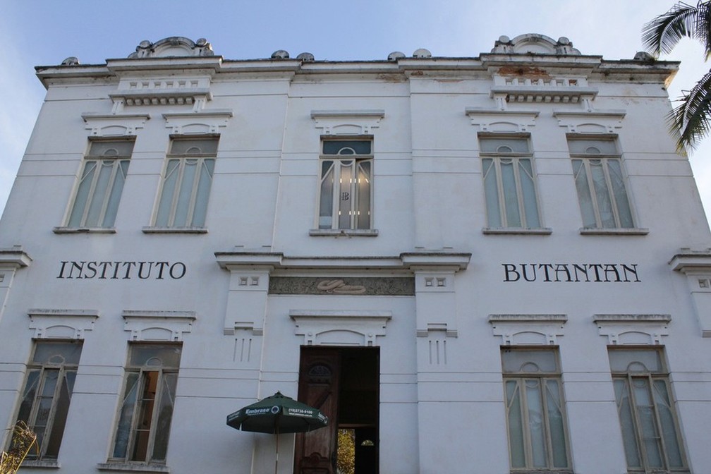 Butanvac: Butantan cria vacina contra covid e pedirá autorização para testes