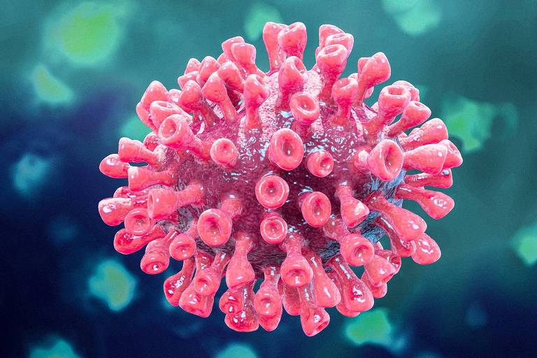 Dados da Fiocruz apontam circulação de 92 cepas do coronavírus no Brasil