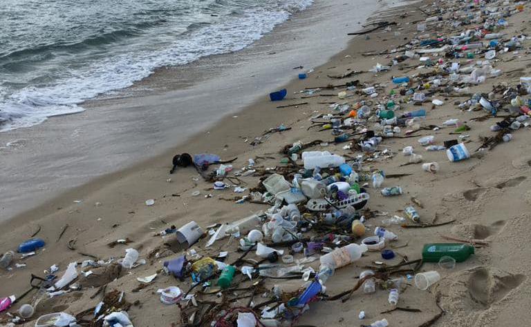 Após 3,5 toneladas de lixo em praias do RN, Ibama anuncia investigação