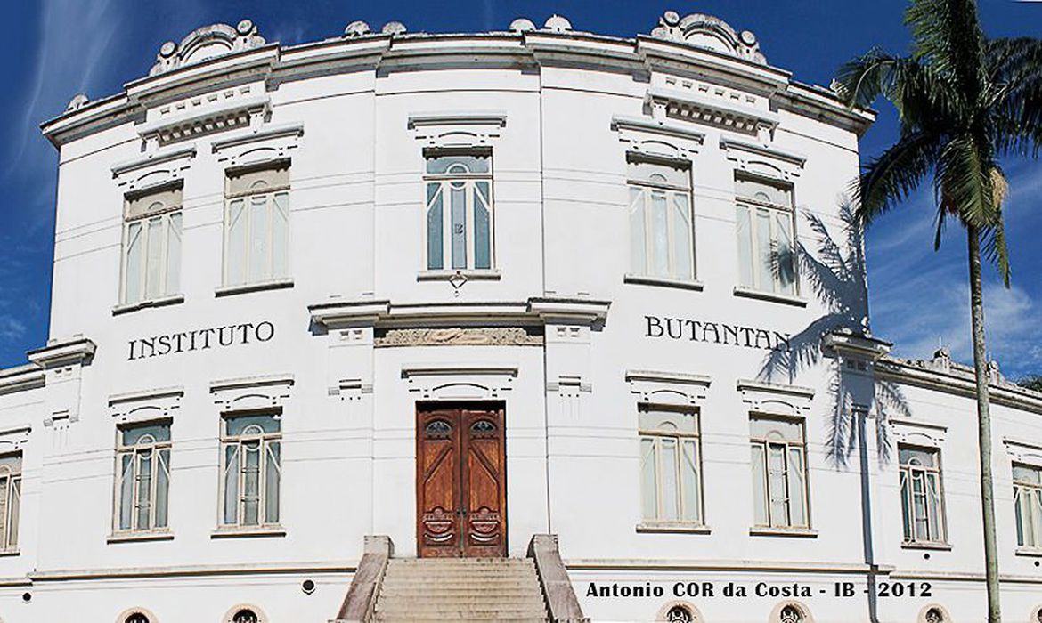 Mesmo ainda sem teste em humanos, Butantan inicia produção da vacina ButanVac