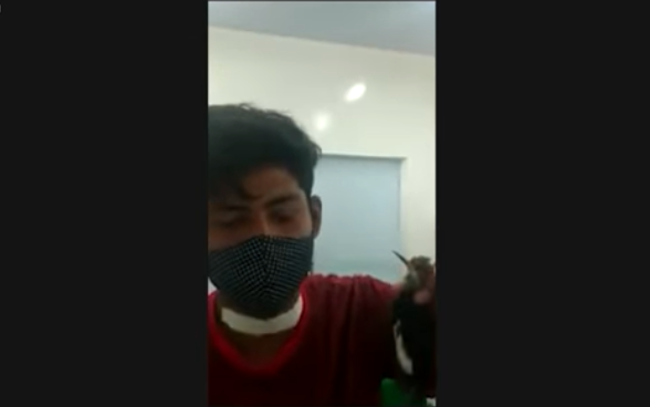 Homem tem garganta perfurada por pássaro e dirige 9 km para conseguir ajuda