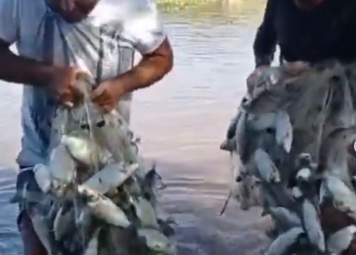 VÍDEO: Pescadores mostram “fartura” na Barragem de Oiticica