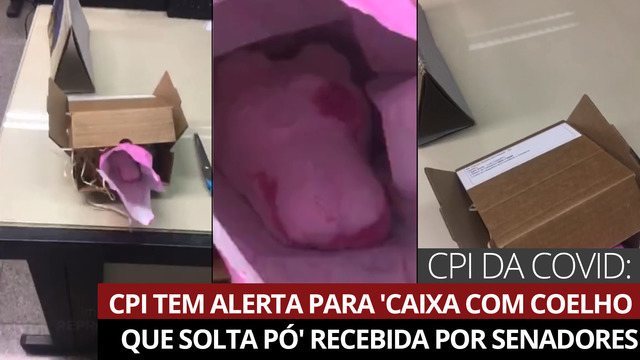 Senadores se assustam após receberem caixa misteriosa com coelho que solta pó