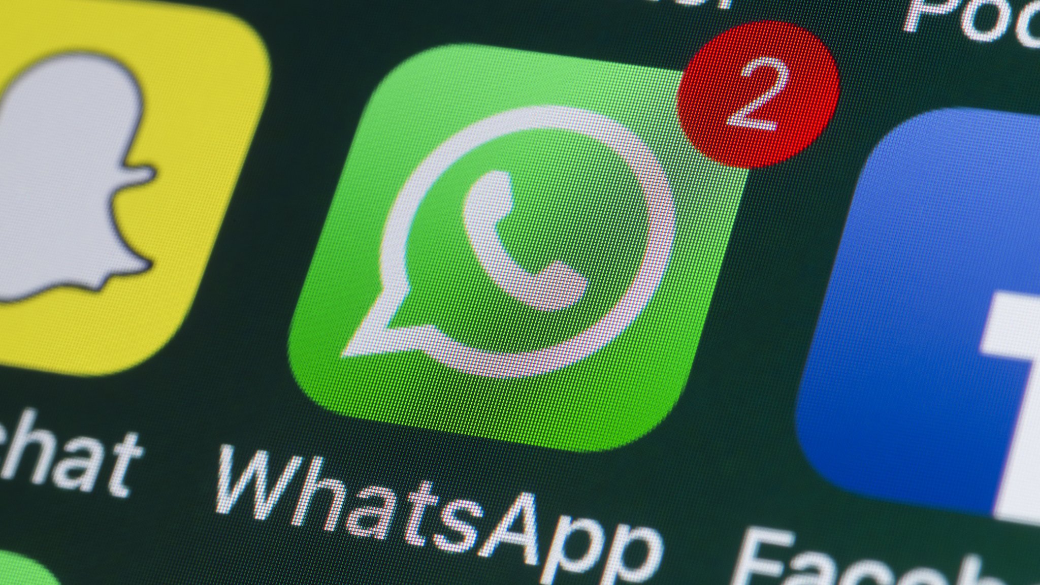 Saiba como usar o novo recurso do WhatsApp
