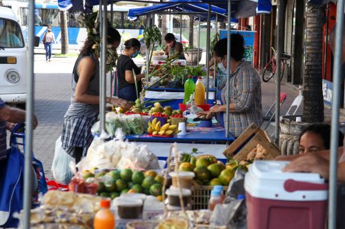 São Gonçalo incentiva feira de agricultura familiar