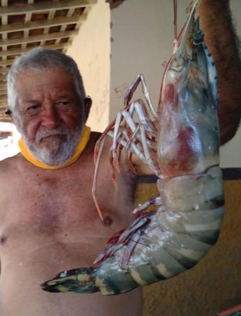FOTO: Homem pesca 'camarão gigante' em município do RN