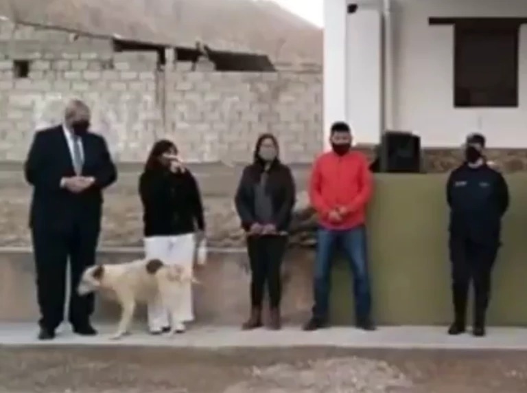 VÍDEO: Cachorro urina em prefeita que inaugurava obra municipal
