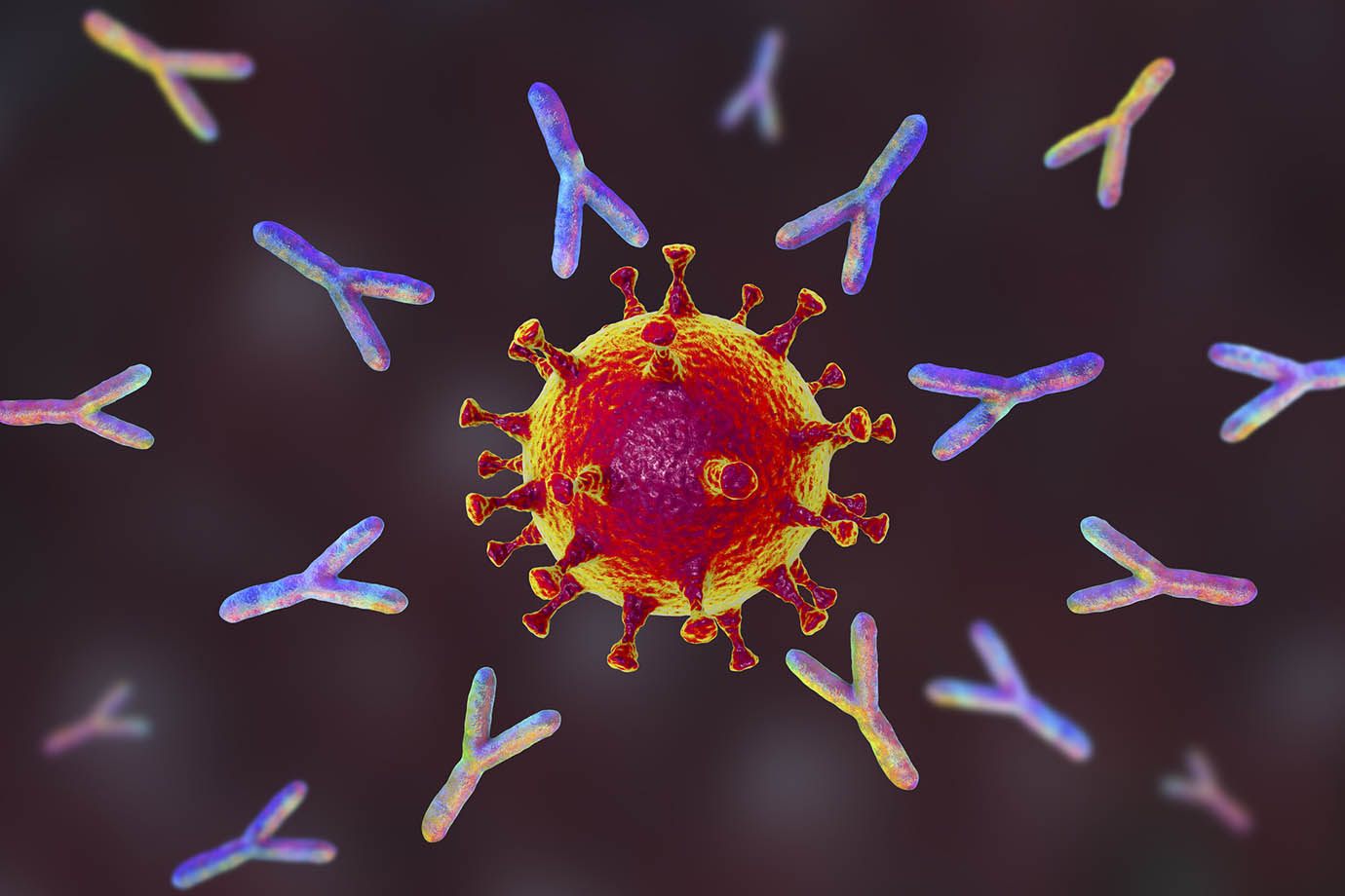Tive Covid-19, mas não desenvolvi anticorpos; médico explica até quando é normal