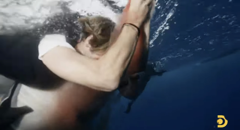 VÍDEO: Ator é atacado por tubarões após fazer manobra errada em gravação