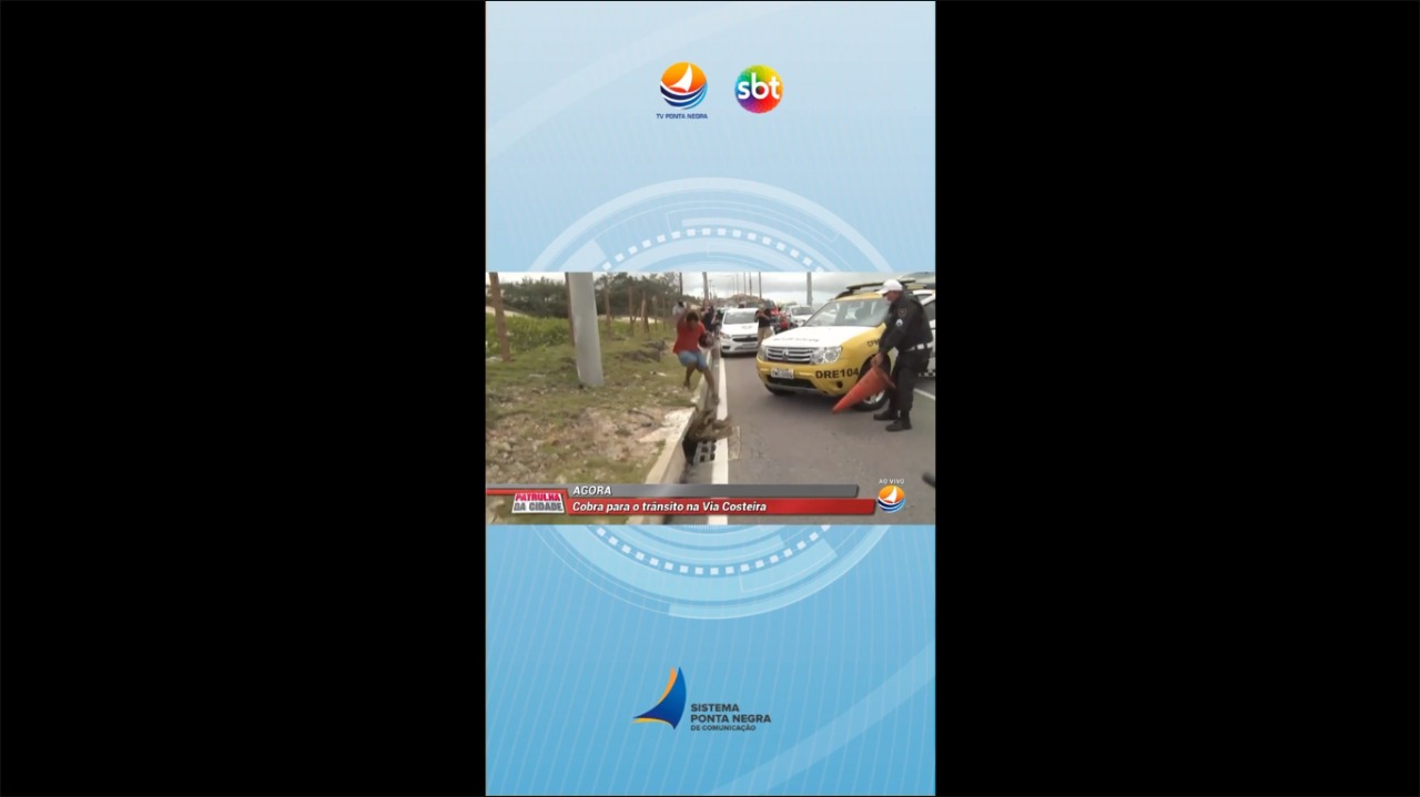 VÍDEO: Cobra de mais de dois metros aparece na Via Costeira e para o trânsito