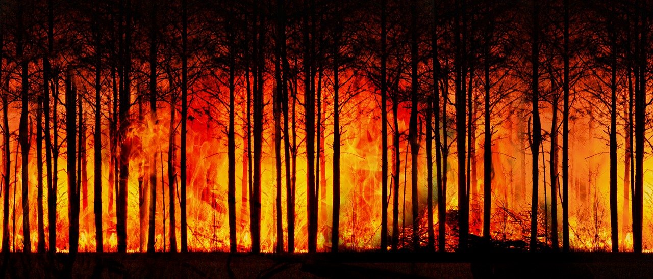 Mudanças recentes no clima causadas pelo homem não têm precedentes, aponta relatório da ONU